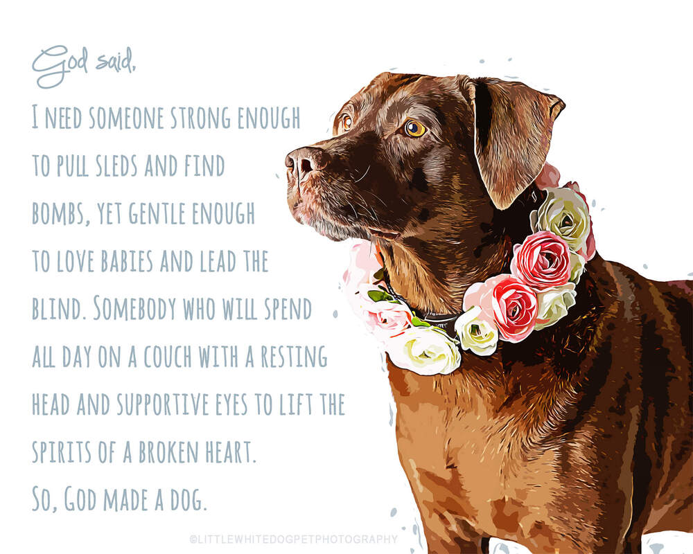 Art rendering of a chocolate lab.