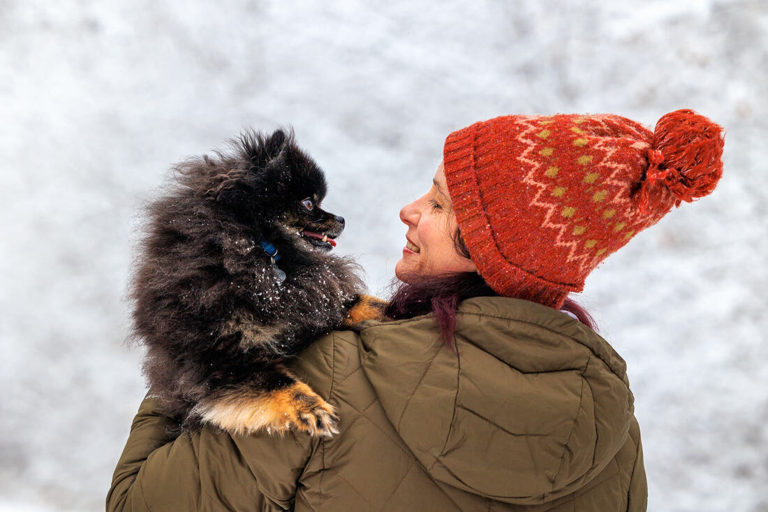 Black Pomeranian looking into his human's eyes as she holds him on her shoulder with a snowy background.
