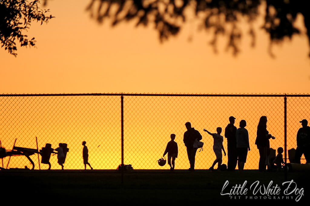 A silhouette of people leaving a pee wee football practice during sunset.