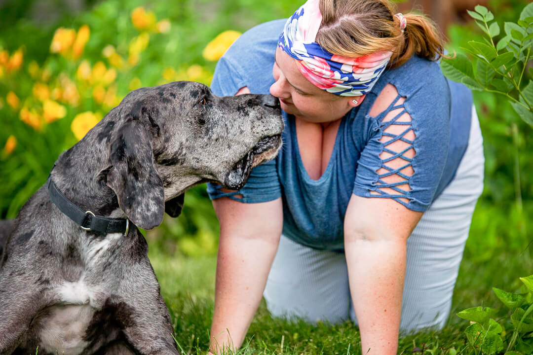 Black merle Great Dane in the grass nose to nose with her foster mom sharing a moment.