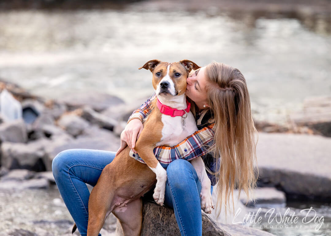 A girl kissing her new pitbull rescue dog while sitting on the rocks by the water