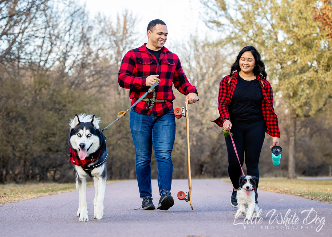 Husky and yorkie poo walking along path with parents all in matching red plaid