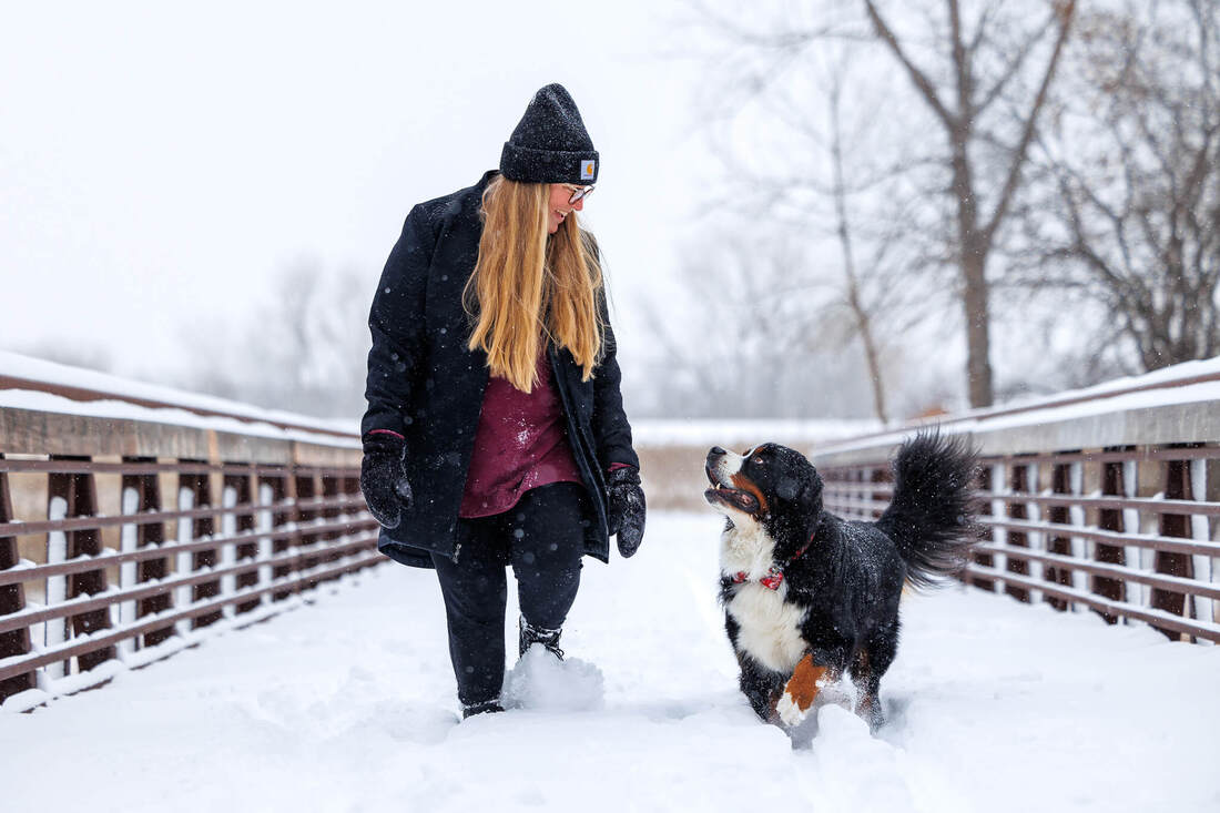 Bernese mountain dog walking across snowy bridge smiling at his human dog mom