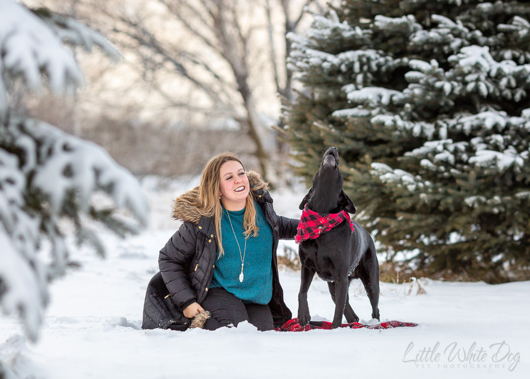 Black Lab and owner taking pictures in the snow