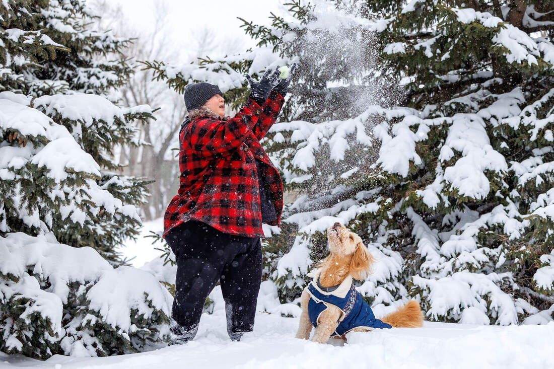 Golden doodle dog playing with human in the snowy trees