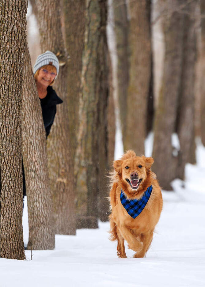Golden retriever running in the snowy trees with dog mom peaking out of trees