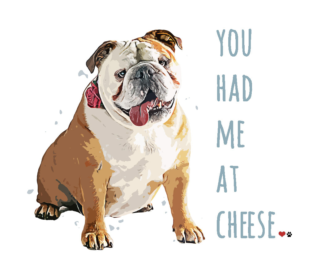 Art rendering of a bulldog with quote, You had me at cheese.