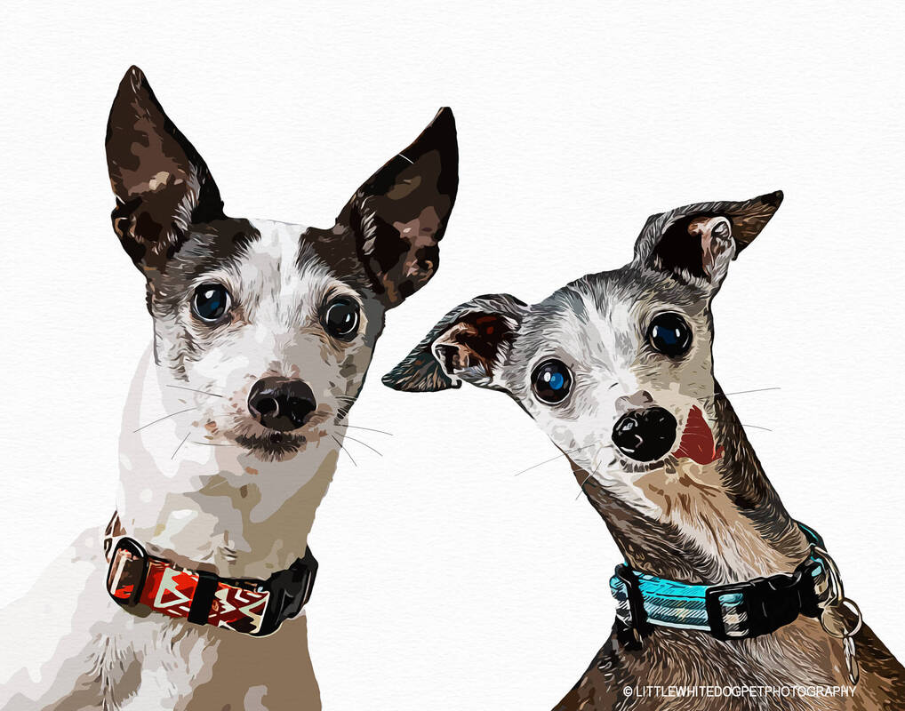 Art portrait made from a picture of two Italian greyhounds