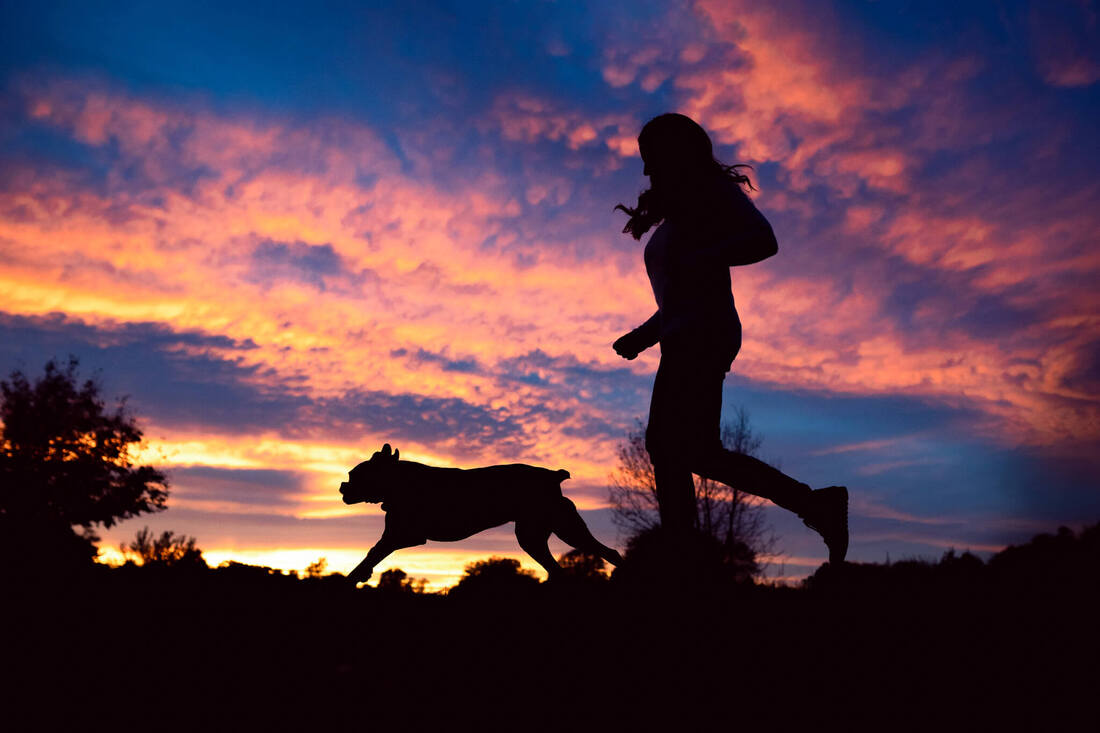 Silhouette of a boxer and dog mom running in front of a blue and pink sky