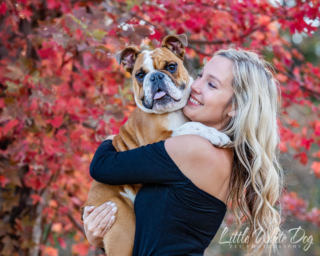 bulldog in his owners arms with red tree in the background