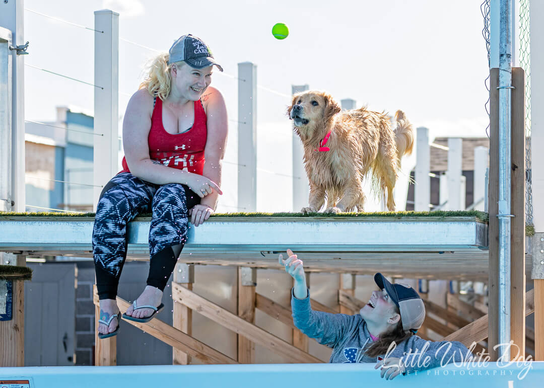 Golden retriever owner sitting on dock with dog while dock diving teacher tries to lure dog to jump