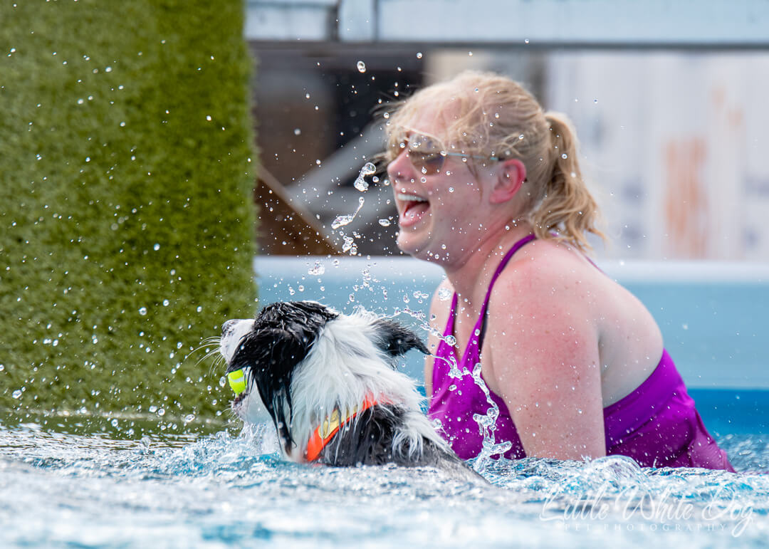 Owner laughing with pride as border collie retrieves ball in the pool for the first time