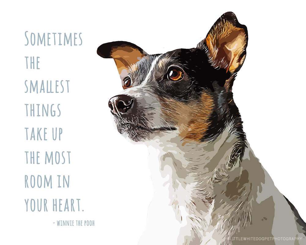 Art rendering of a rat terrier dog with quote, Sometimes the smallest things take up the most room in your heart.